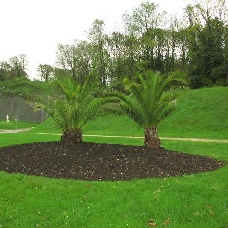 Les Victoriennes Bed & Breakfast Verdun-sur-Meuse Bagian luar foto